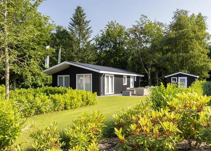 Molenvelden * 벨트호벤